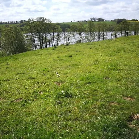 Woody לינה וארוחת בוקר *